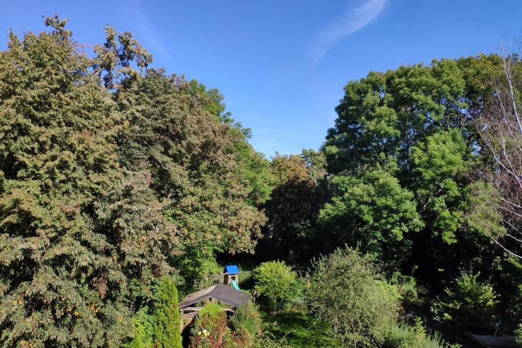 Ferienwohnung Mit 123Qm Fuer 8 Personen Mit Sehr Grossem Garten, Einfache Innen-Ausstattung Leipzig Extérieur photo